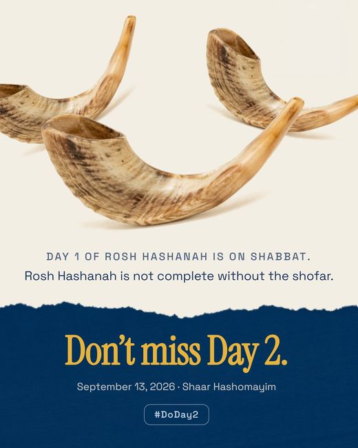 Three ram’s horns lying together on a cream ground, above the words: Day 1 of Rosh Hashanah is on Shabbat. Rosh Hashanah is not complete without the shofar.