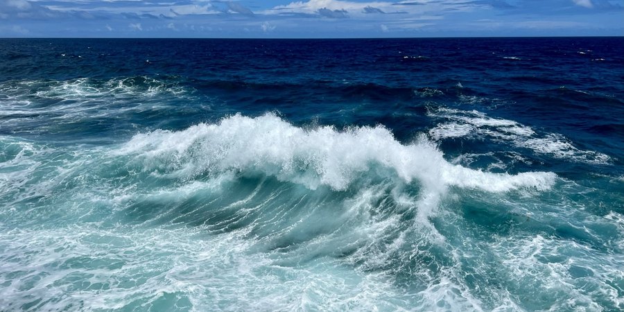 A wave breaking in deep blue water off Cura&ccedil;ao, white foam filling the foreground, the horizon and a line of cloud beyond.
